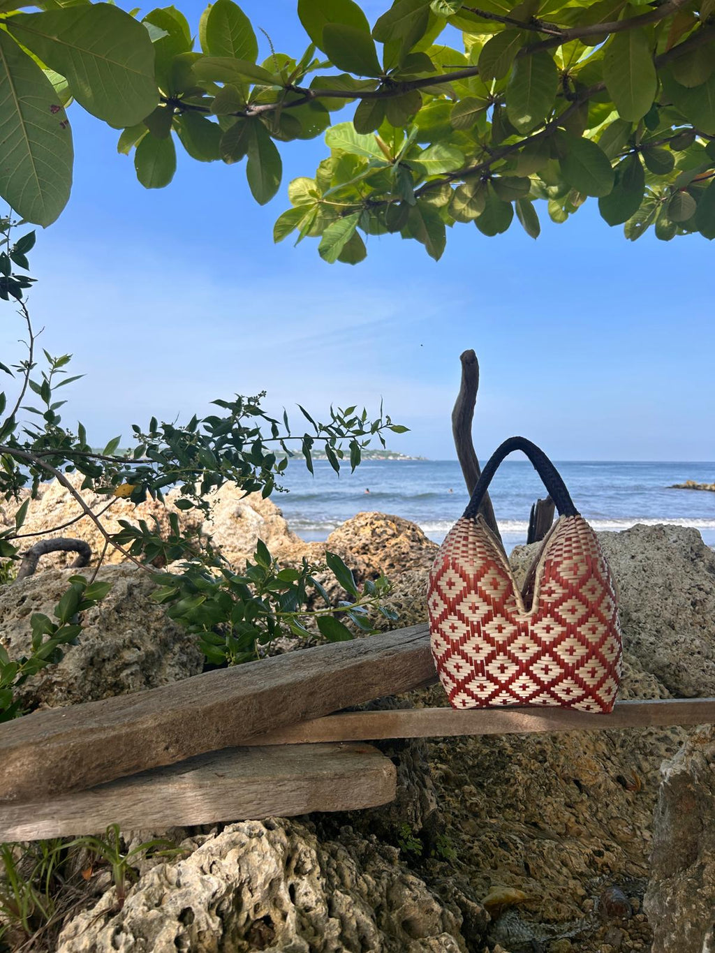 Bolso "Brunita" marrón y negro