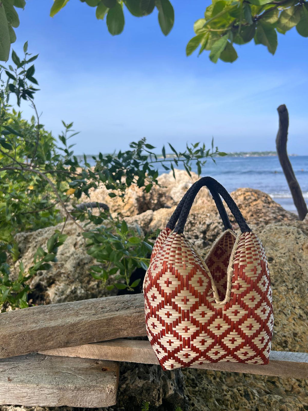 Bolso "Brunita" marrón y negro