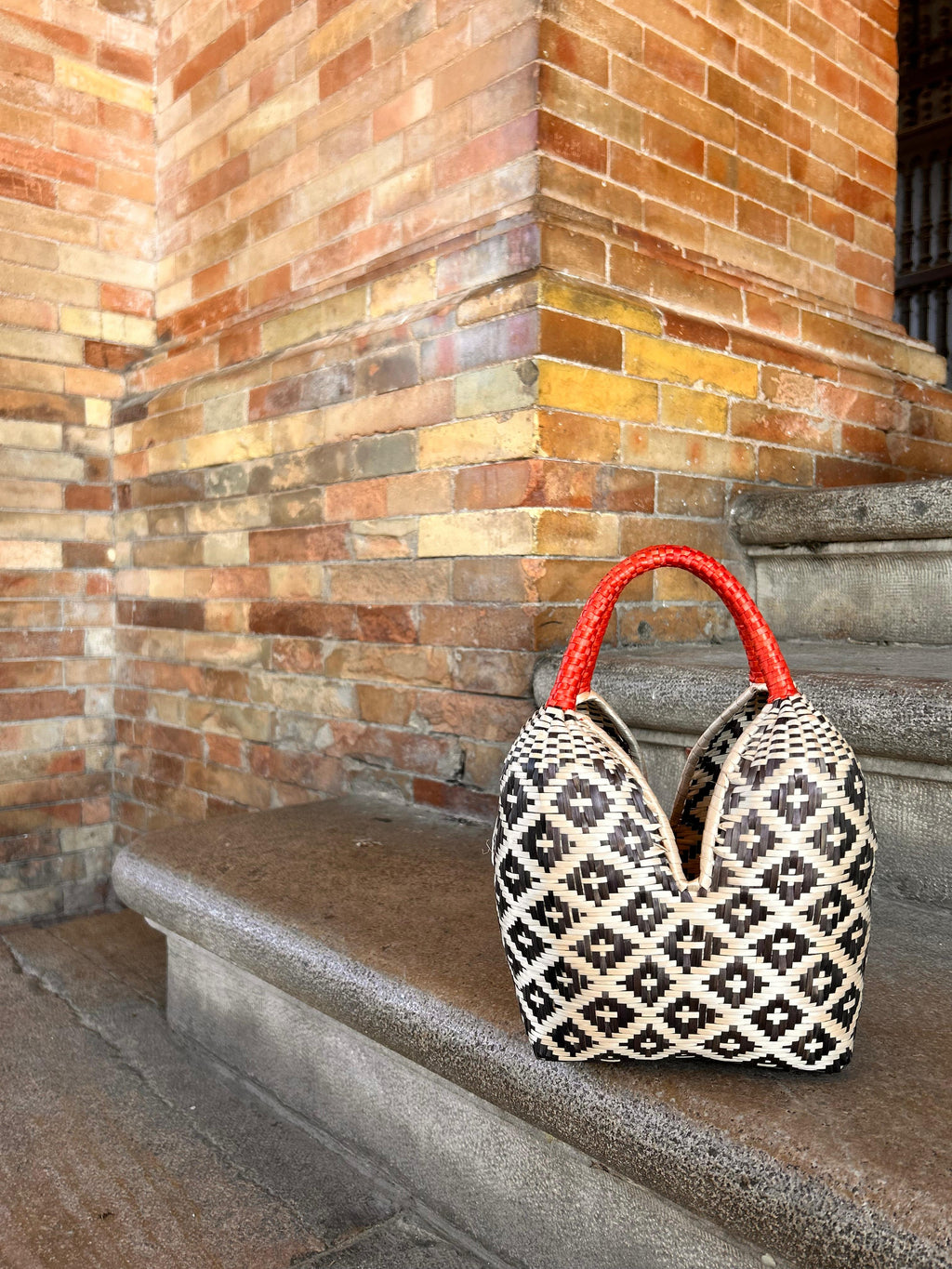 Bolso "Brunita" negro con asa roja